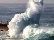 Ilusión óptica gato