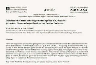 Nuevas especies de arañas en la Península Ibérica