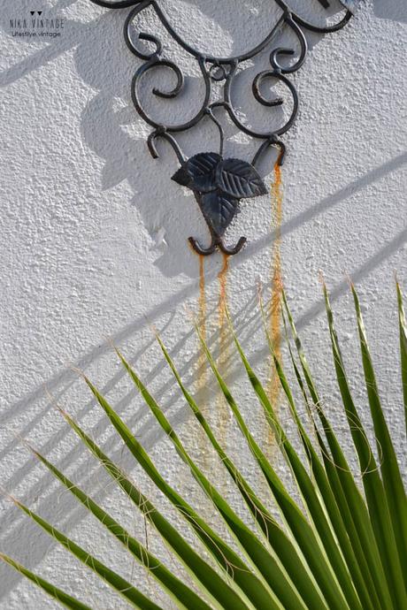 fotografia, hoy compartimos, verde, naturaleza