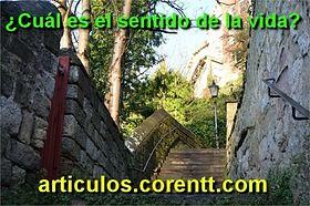 ¿Cuál es el sentido de la vida? el sentido de la vida