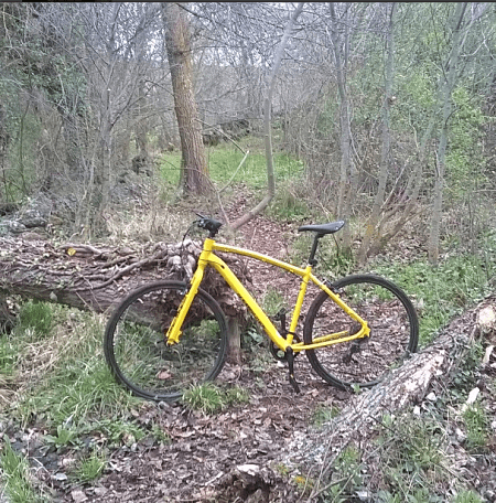 bicicleta bosque