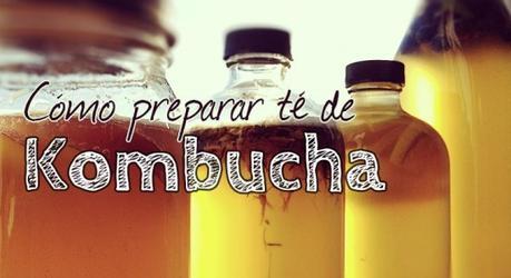 te-de-kombucha-550x300