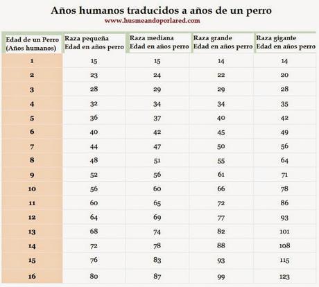 calcular la edad de los perros