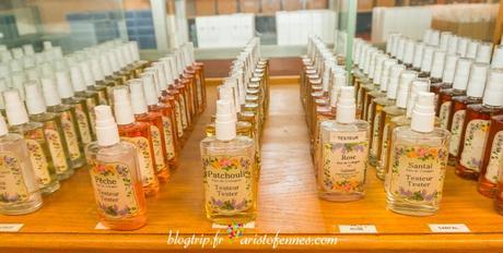 Grasse Francia, el lugar donde nacen los perfumes ! Perfumería francesa en Grasse