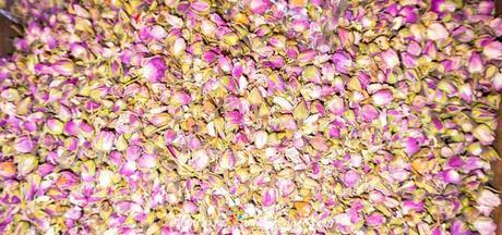 Grasse Francia, el lugar donde nacen los perfumes ! Flores en Grasse sur de Francia
