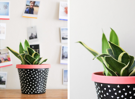 8 Ideas para decorar macetas