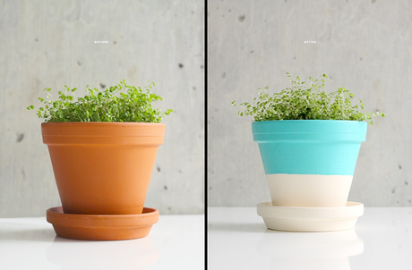 8 Ideas para decorar macetas