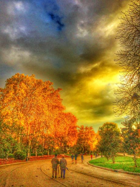 fotografia gastronomia, como hacer mejores fotos, parque del retiro, snapseed