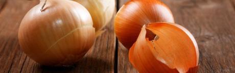 Logran crear músculo artificial a partir de… ¡cebollas! Logran crear músculo artificial a partir de… ¡cebollas!