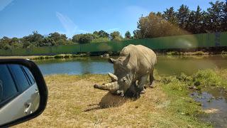 Pasamos el día en el Safari de Madrid