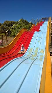 Pasamos el día en el Safari de Madrid