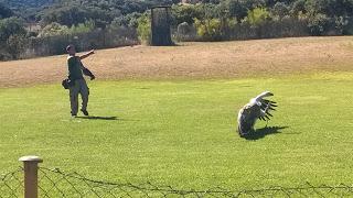 Pasamos el día en el Safari de Madrid