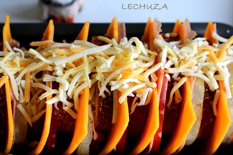 PATEL LACON PIÑA Y QUESO (30)