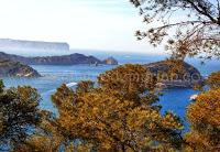 Las fuentes del Algar, las piscinas naturales del interior de Alicante