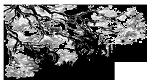 Reseña #28: El Jardín de Soledades