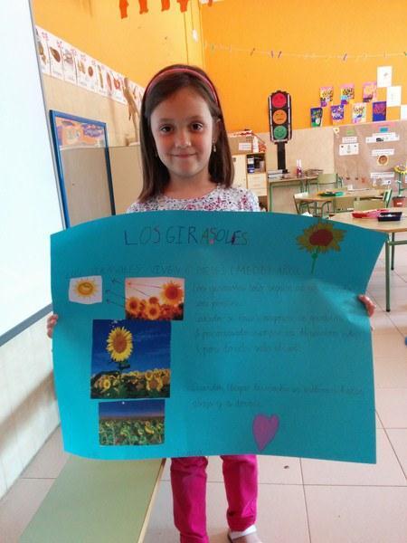 IMG_20150513_124250 (Copiar)