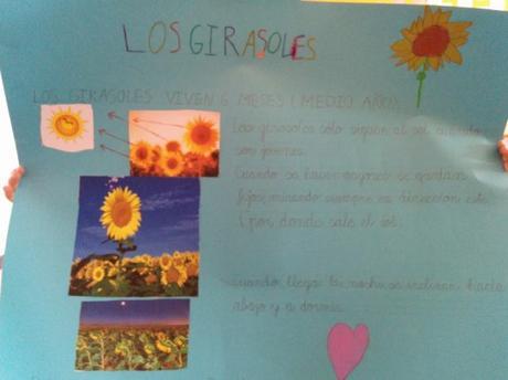 IMG_20150513_124241 (Copiar)