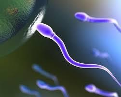 sueño que soy esteril