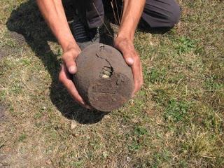 tesoros y reliquias encontrados recientemente