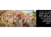 insistente confusión sobre concepto Derechos Animales