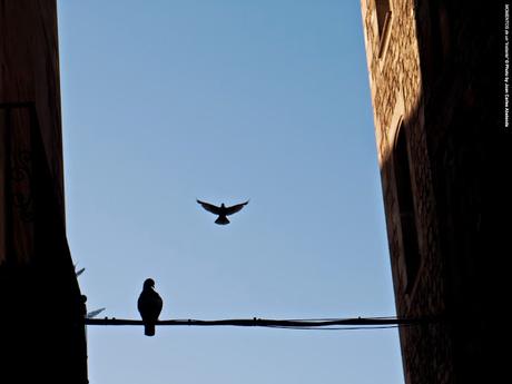 Barcelona (El Gòtic): Flying high