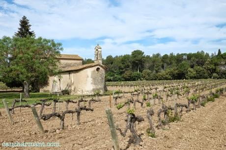 Conoce el Dominio Vinícola Can Bas (sorteo) lugares con encanto dominio vinícola can bas sorteo enoturismo pere ventura penedes fujifilm xe-1