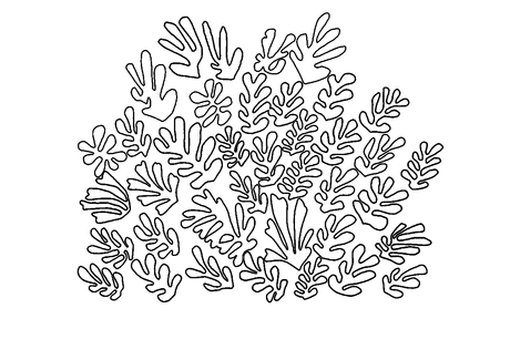 posters de Matisse para colorear posters de Matisse para colorear