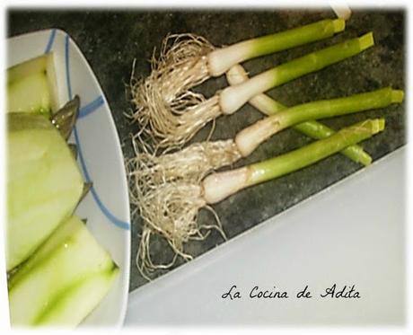 Verduras a la plancha (dieta)