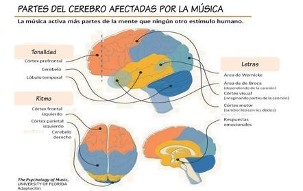 cerebro y música