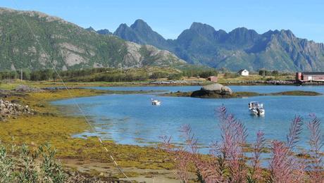 Lofoten: una vez en la vida 16devueltaSvolvaer