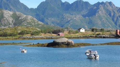 Lofoten: una vez en la vida 17closeupSvolvaer