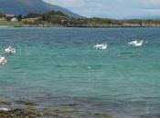 nostalgia últimos elfos