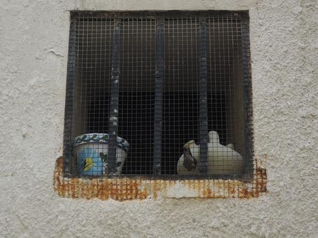 Detalle folclórico