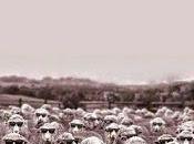 Cerraremos ojos, taparemos nariz votaremos nuestros verdugos