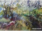 Mail Project: GLIMPSES EVERYDAY LIFE