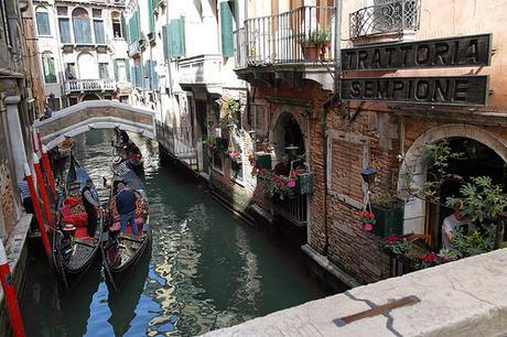 Trench y Navy, Venecia II