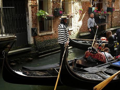 Trench y Navy, Venecia II