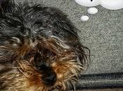 Estamos Agustito XCV. Vuelve tardeee, faaa... #funny