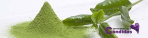 SUPERALIMENTOS y Candidiasis. Parte 1 matcha, superalimentos y candidiais
