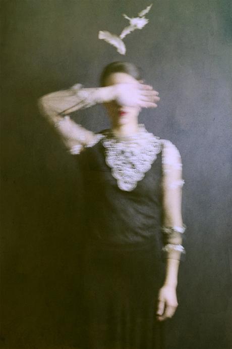 762e40ff31d9d41cf6caee93f4f9f5e5