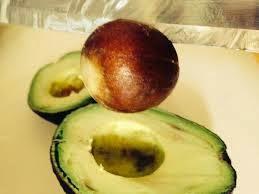 BENEFICIOS DE LA SEMILLAS DE PALTA