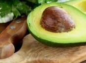 Beneficios semillas palta