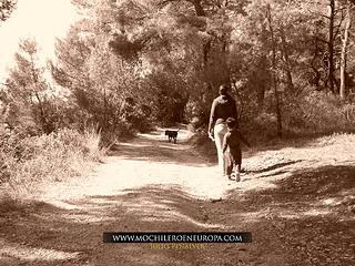 Pula Sept 2014 Pula Sept 2014