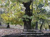 Pasos para salir trabajo sentido dedicarte vocación