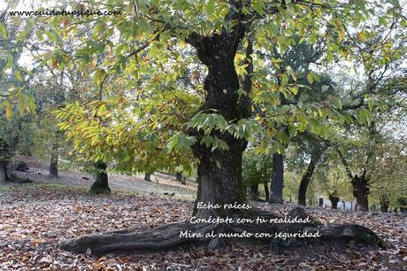 Pasos para salir de un trabajo sin sentido y dedicarte a tu vocación