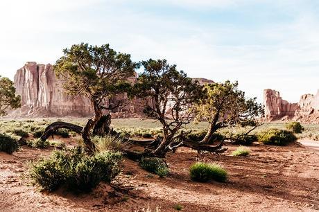 Monument_Valley-Utah-Collage_Vintage-USA_Road_Trip-57