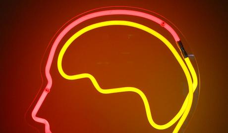 Investigadores descubren la parte del cerebro que regula el ritmo del habla