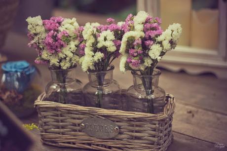 LA MIRADA DE LAURA MPINA #01 : FEDERICA & CO