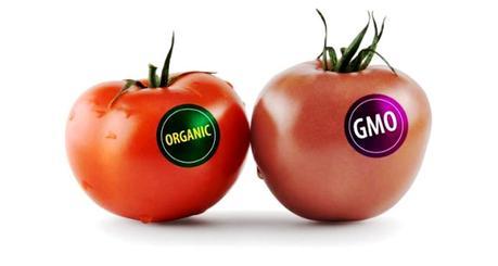Guía rápida para evitar comprar transgénicos transgenicos-etiquetado