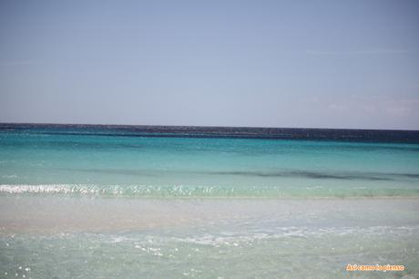 Proyecto de la A a la Z…con la M